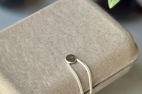 Bao Bì "Mộc": Lựa Chọn Chất Liệu Cho Hành Trình Bền Vững