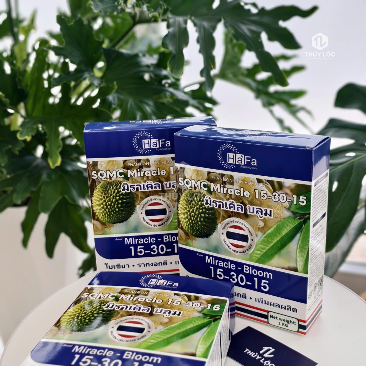 IN HỘP GIẤY